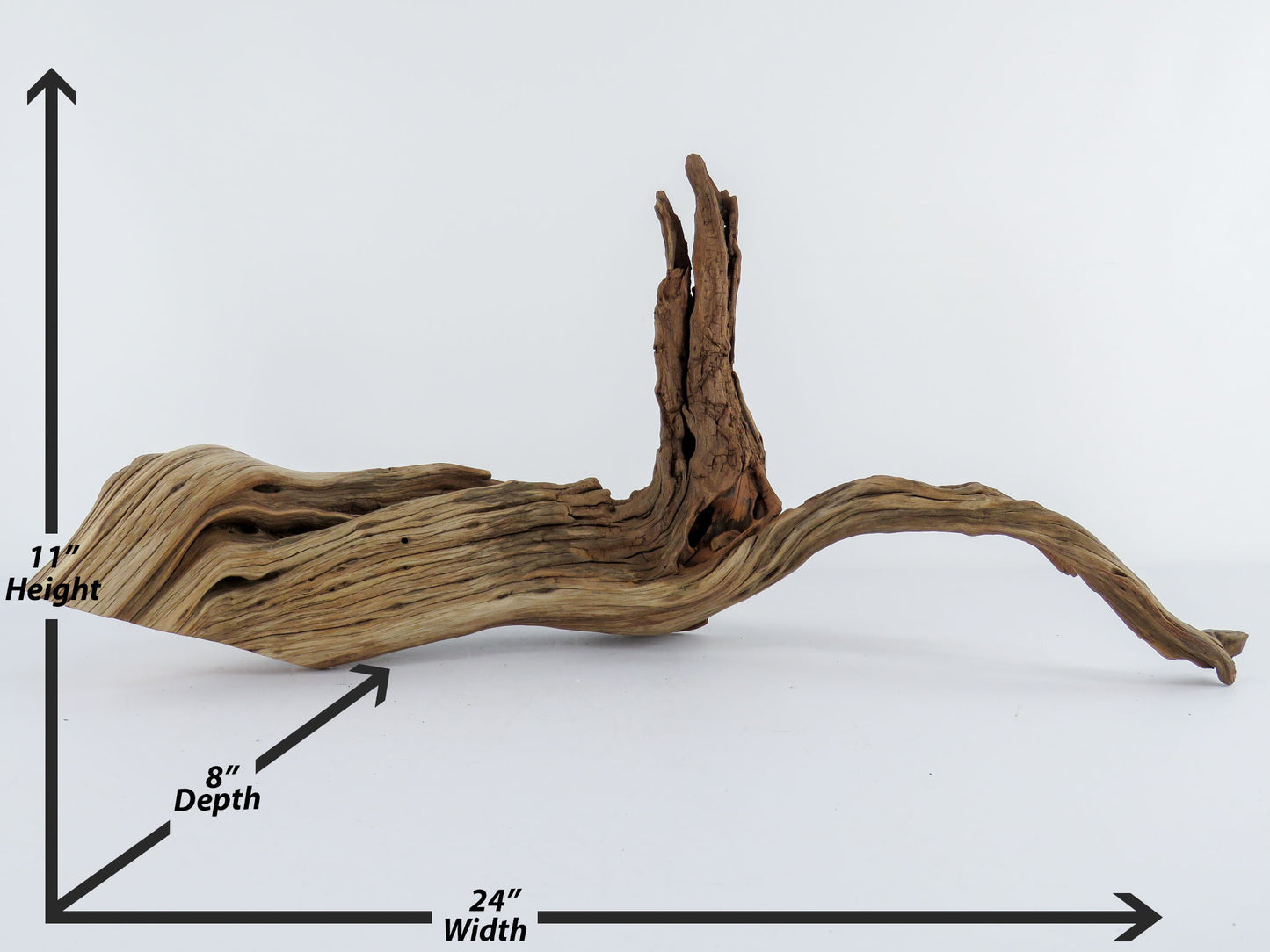 Manzanita Log with root end (24“), Great driftwood for Aquascaping your Tank or Terrarium Decor