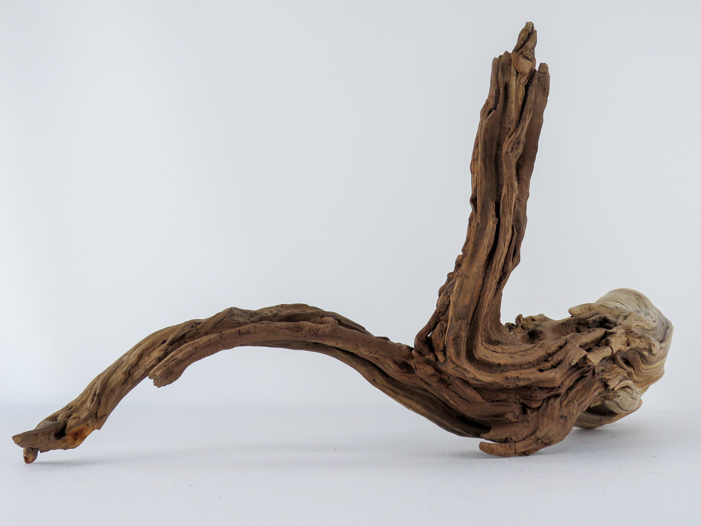 Manzanita Log with root end (24“), Great driftwood for Aquascaping your Tank or Terrarium Decor