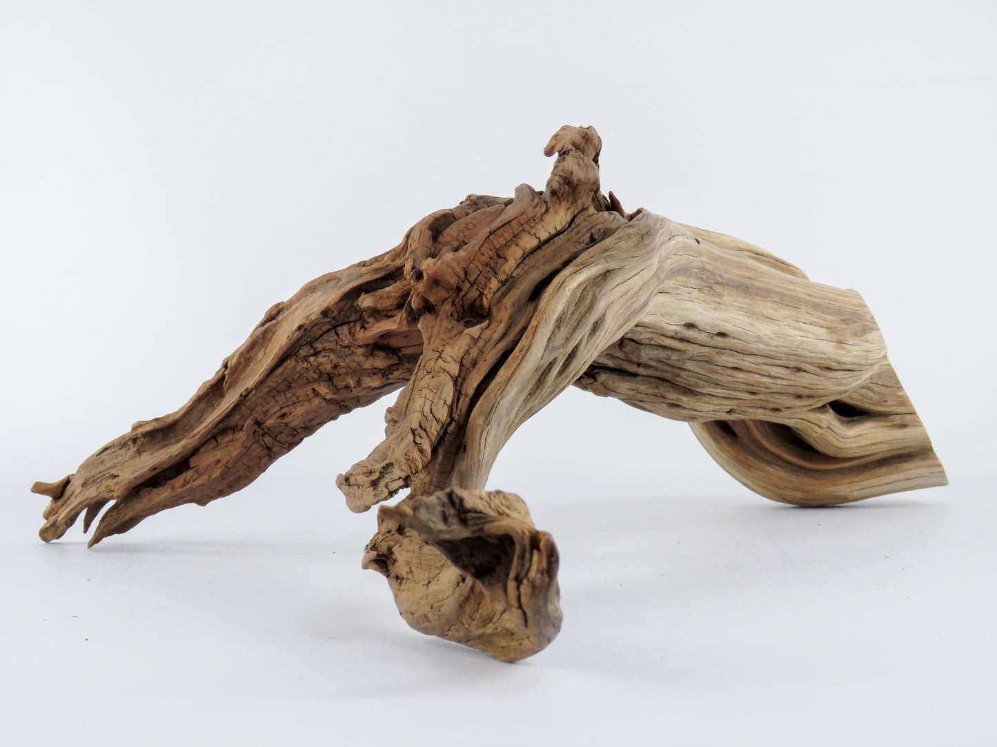 Manzanita Log with root end (24“), Great driftwood for Aquascaping your Tank or Terrarium Decor