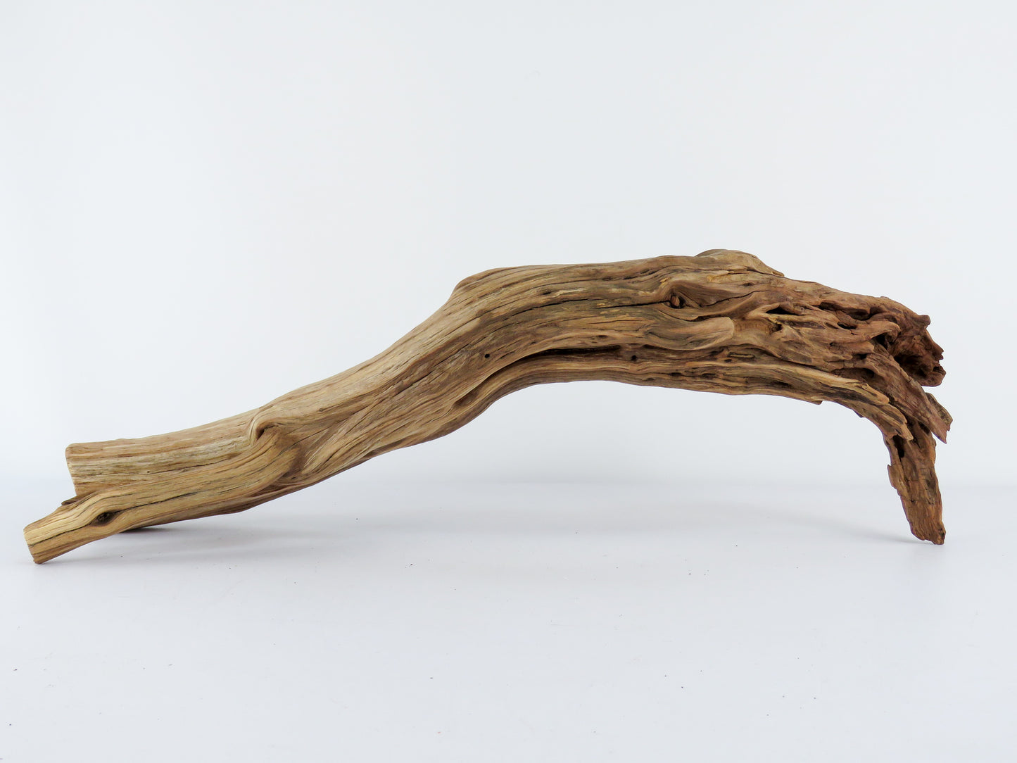 Manzanita Driftwood Log with Root end (23"), This arched log is perfect for Reptile enclosures, Terrariums, Aquarium or Home Decor