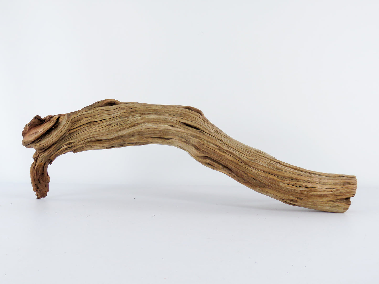 Manzanita Driftwood Log with Root end (23"), This arched log is perfect for Reptile enclosures, Terrariums, Aquarium or Home Decor