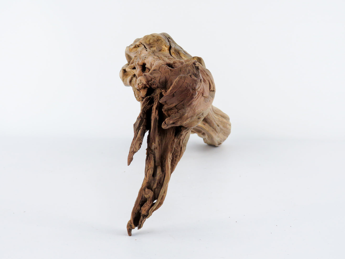 Manzanita Driftwood Log with Root end (23"), This arched log is perfect for Reptile enclosures, Terrariums, Aquarium or Home Decor