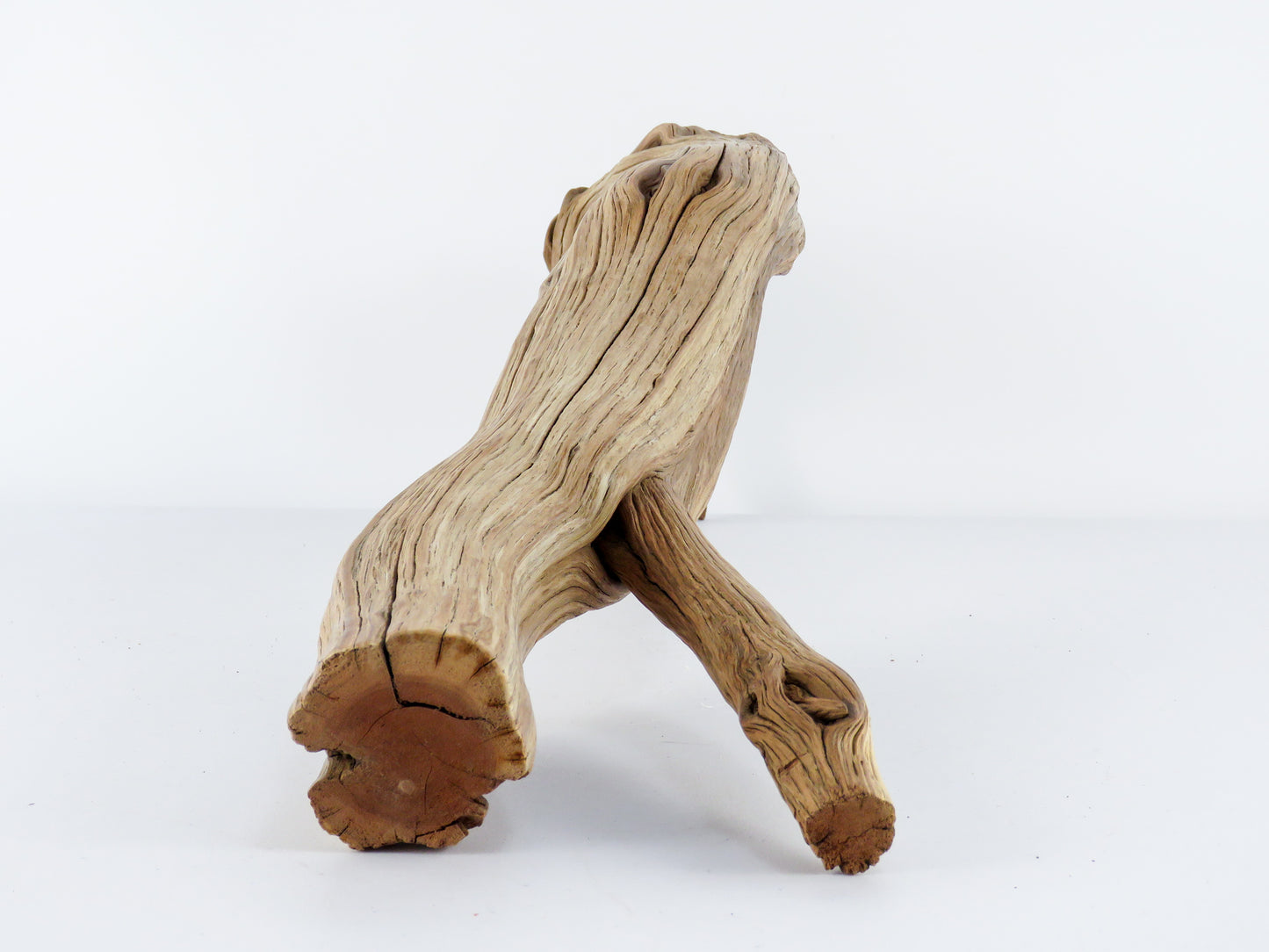 Manzanita Driftwood Log with Root end (23"), This arched log is perfect for Reptile enclosures, Terrariums, Aquarium or Home Decor