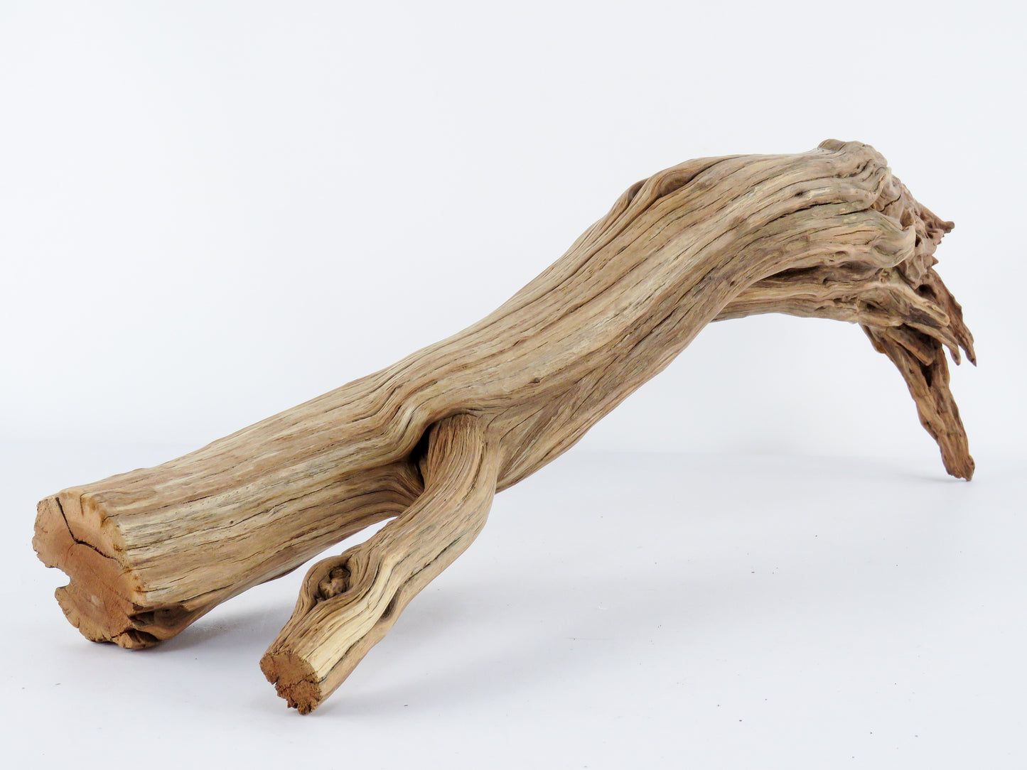 Manzanita Driftwood Log with Root end (23"), This arched log is perfect for Reptile enclosures, Terrariums, Aquarium or Home Decor