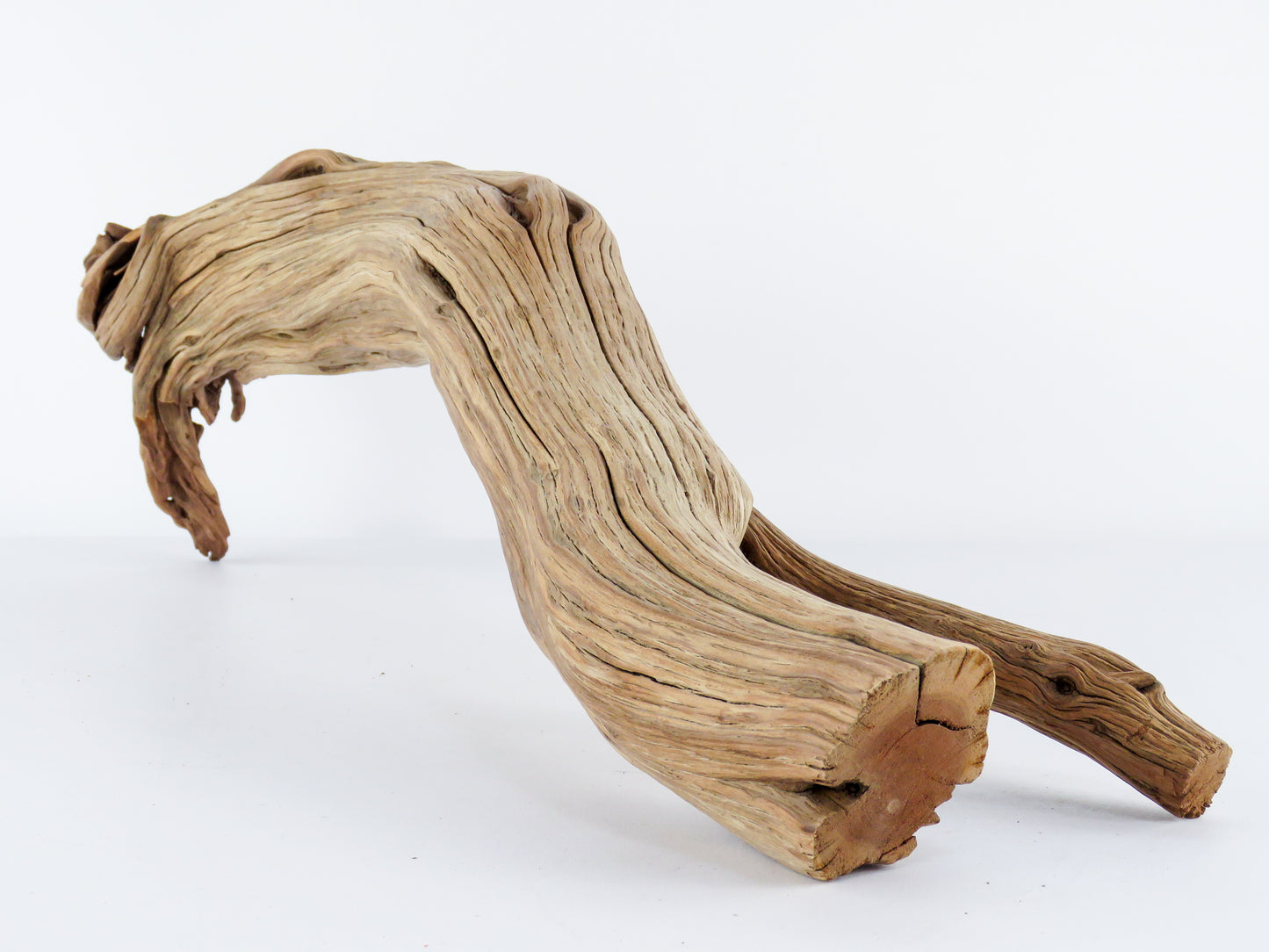Manzanita Driftwood Log with Root end (23"), This arched log is perfect for Reptile enclosures, Terrariums, Aquarium or Home Decor