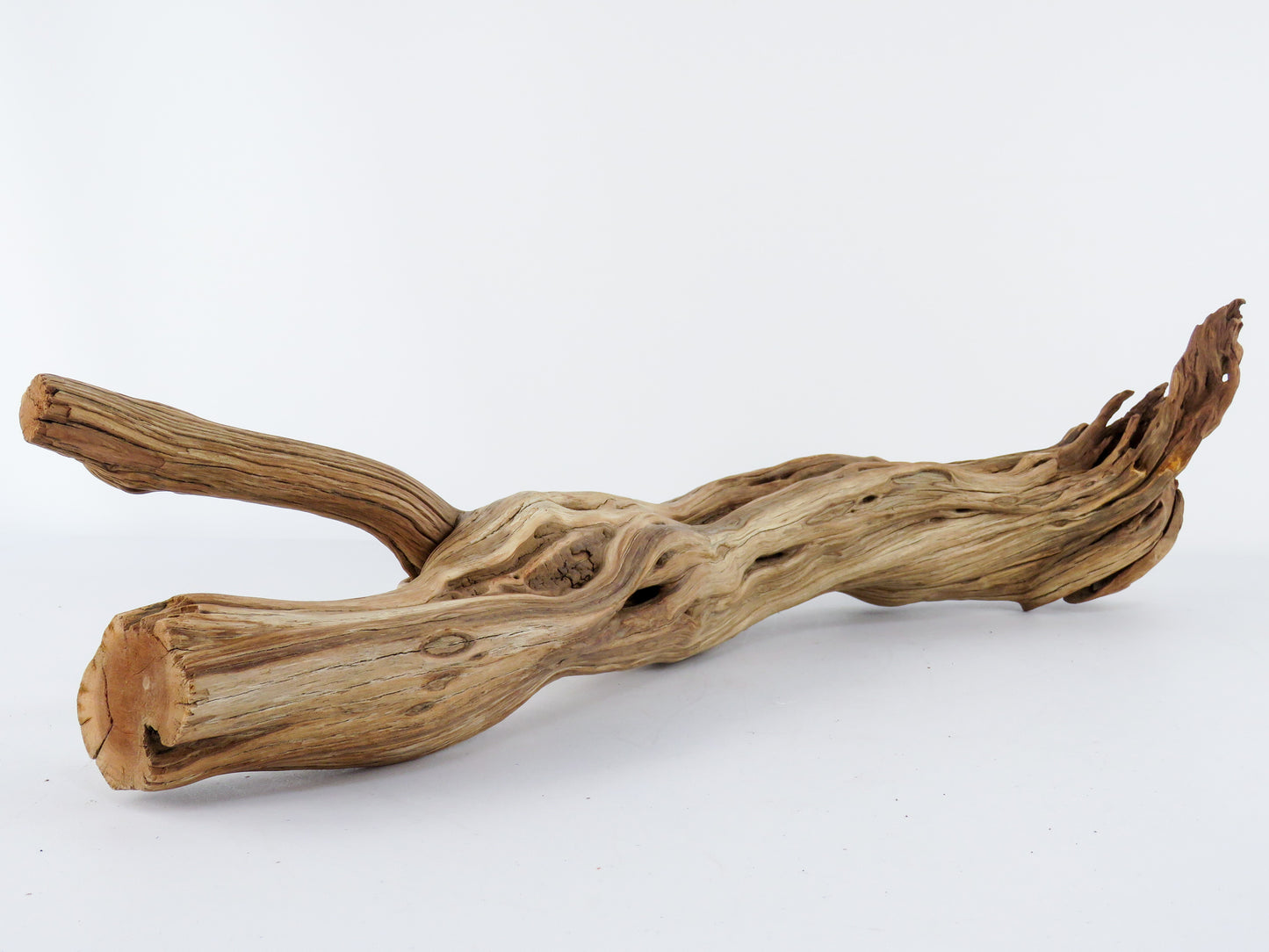 Manzanita Driftwood Log with Root end (23"), This arched log is perfect for Reptile enclosures, Terrariums, Aquarium or Home Decor