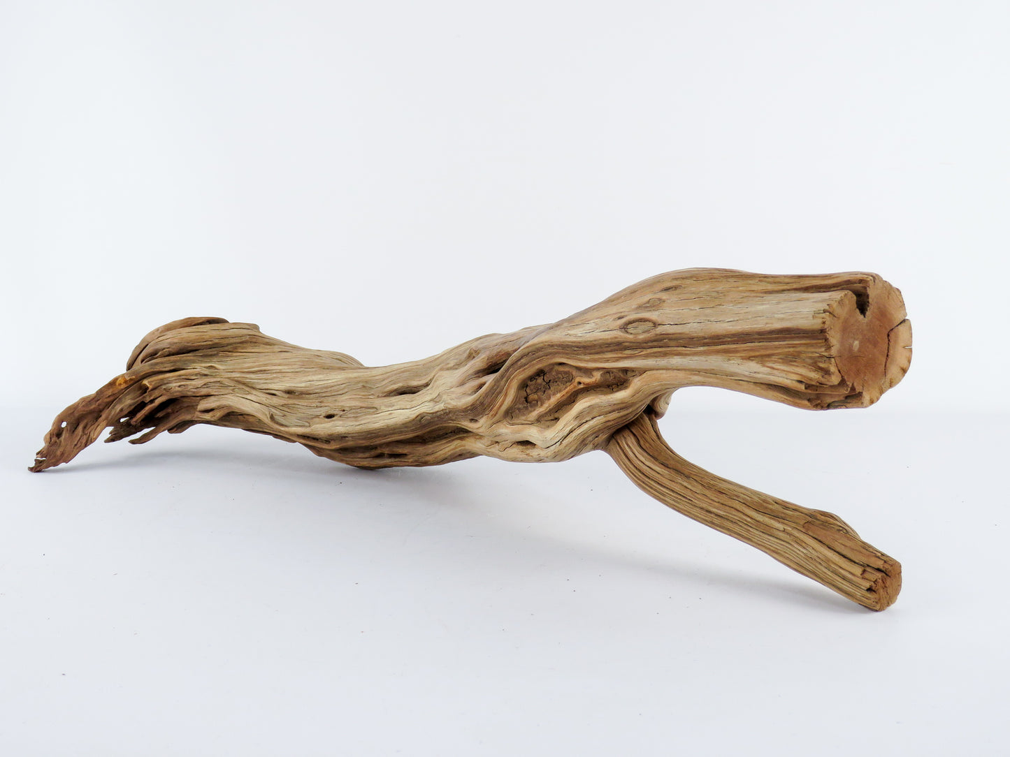 Manzanita Driftwood Log with Root end (23"), This arched log is perfect for Reptile enclosures, Terrariums, Aquarium or Home Decor