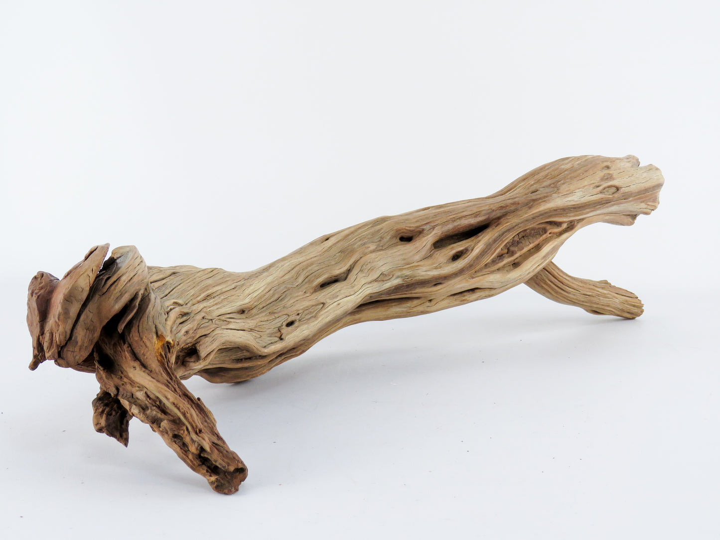 Manzanita Driftwood Log with Root end (23"), This arched log is perfect for Reptile enclosures, Terrariums, Aquarium or Home Decor