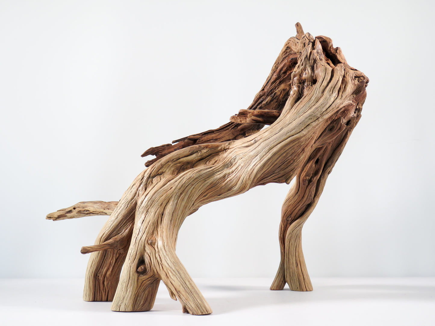 Large Manzanita Stump/Root (18“), Great looking driftwood for Aquascaping your Tank or Terrarium Decor
