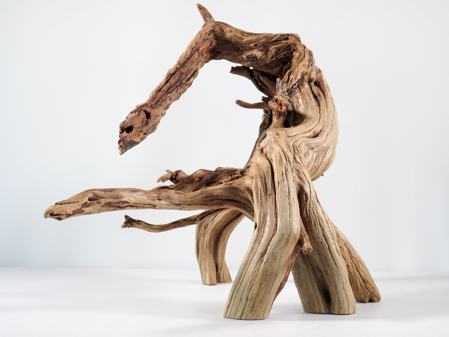 Large Manzanita Stump/Root (18“), Great looking driftwood for Aquascaping your Tank or Terrarium Decor