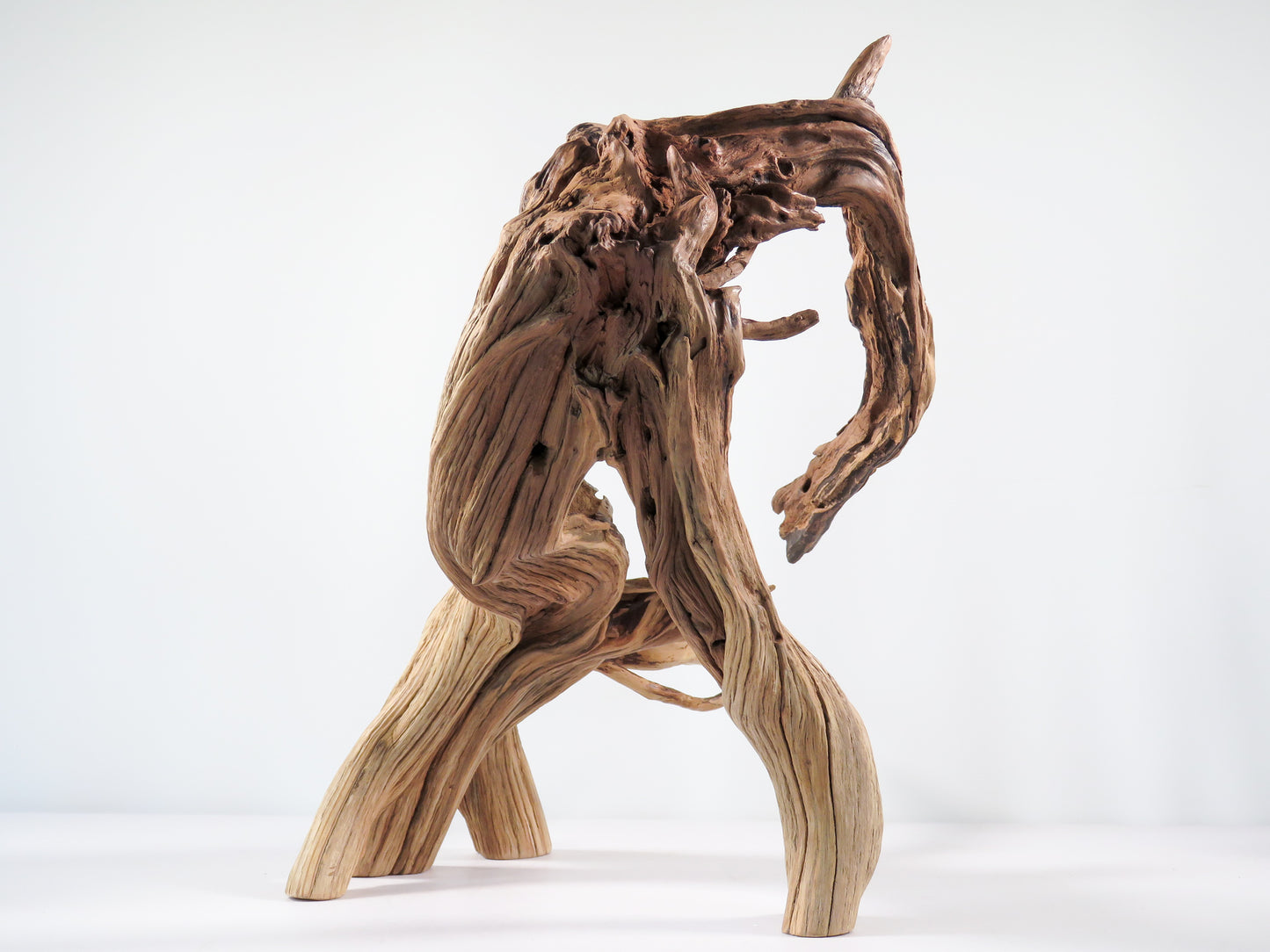Large Manzanita Stump/Root (18“), Great looking driftwood for Aquascaping your Tank or Terrarium Decor