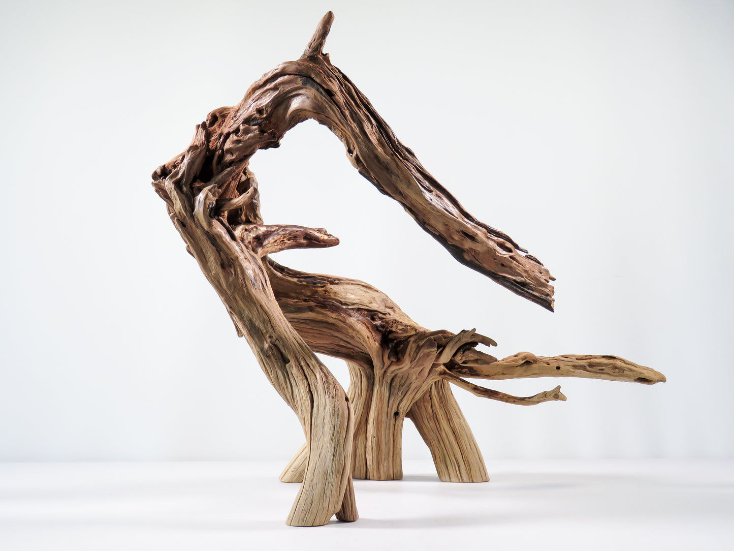 Large Manzanita Stump/Root (18“), Great looking driftwood for Aquascaping your Tank or Terrarium Decor