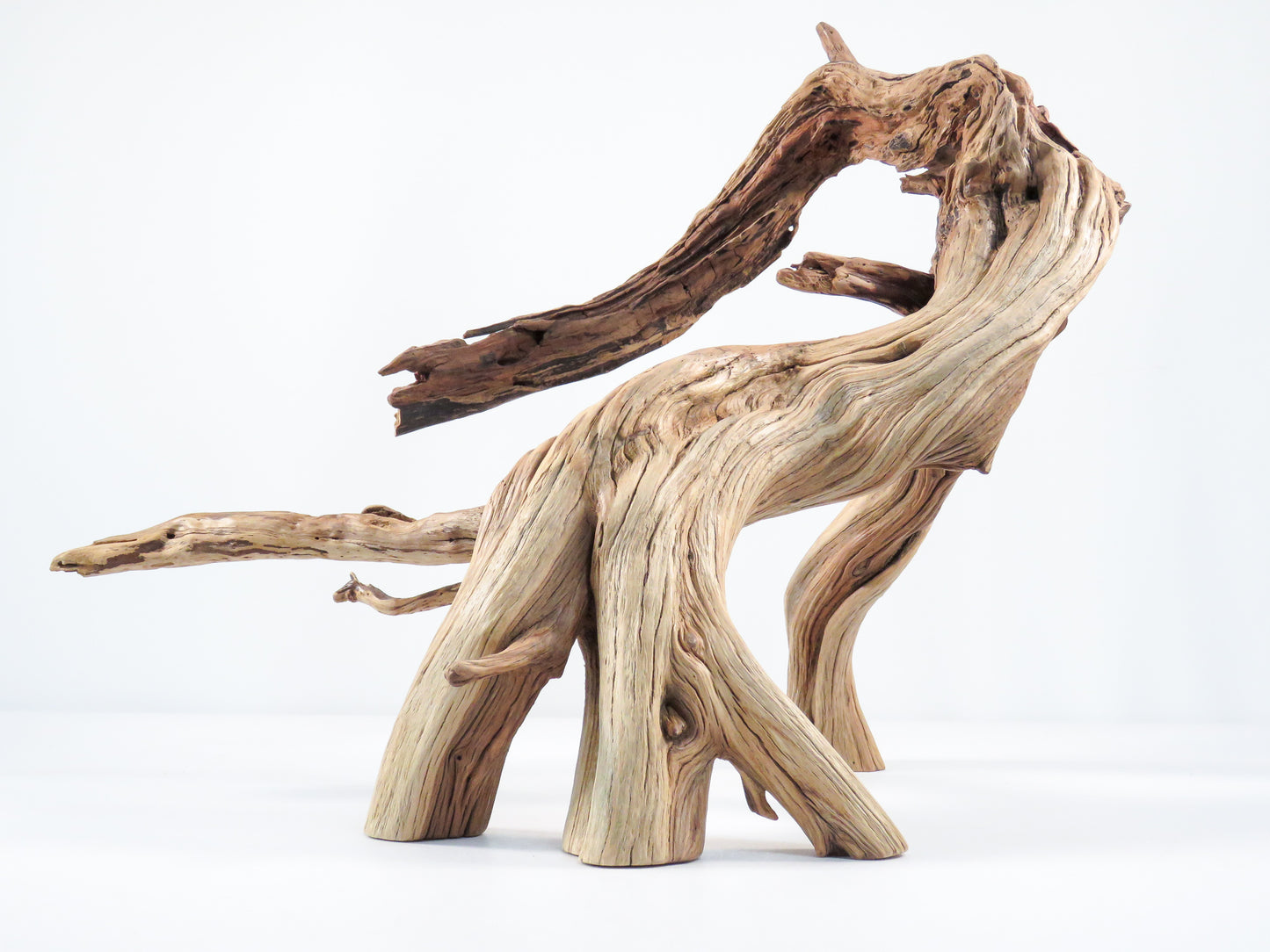 Large Manzanita Stump/Root (18“), Great looking driftwood for Aquascaping your Tank or Terrarium Decor