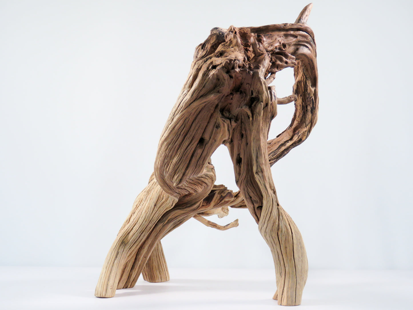 Large Manzanita Stump/Root (18“), Great looking driftwood for Aquascaping your Tank or Terrarium Decor