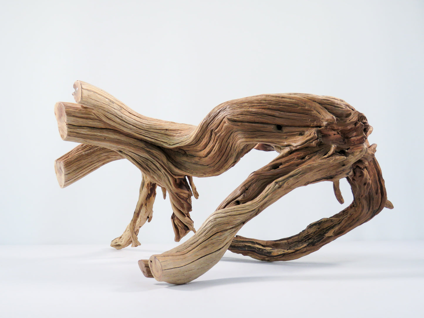 Large Manzanita Stump/Root (18“), Great looking driftwood for Aquascaping your Tank or Terrarium Decor