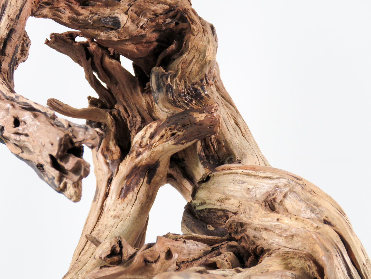 Large Manzanita Stump/Root (18“), Great looking driftwood for Aquascaping your Tank or Terrarium Decor