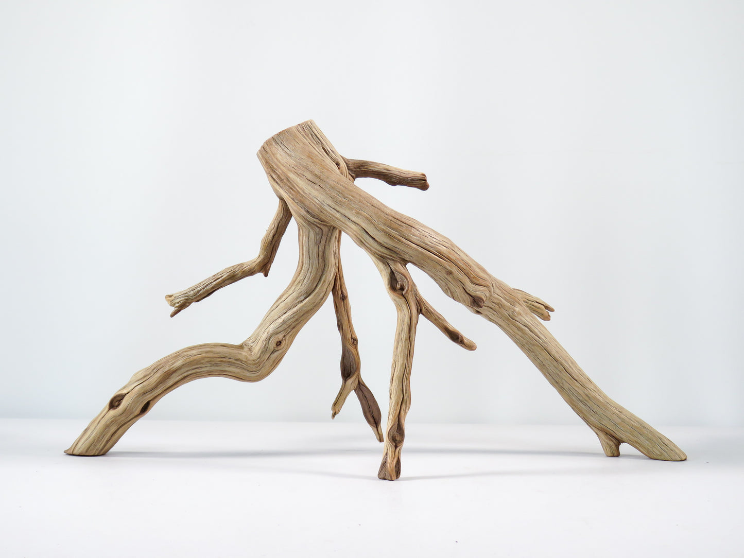 Aquarium Driftwood, (17“), Manzanita Branch ready for Aquascaping your fish tank decor or Terrarium Decor