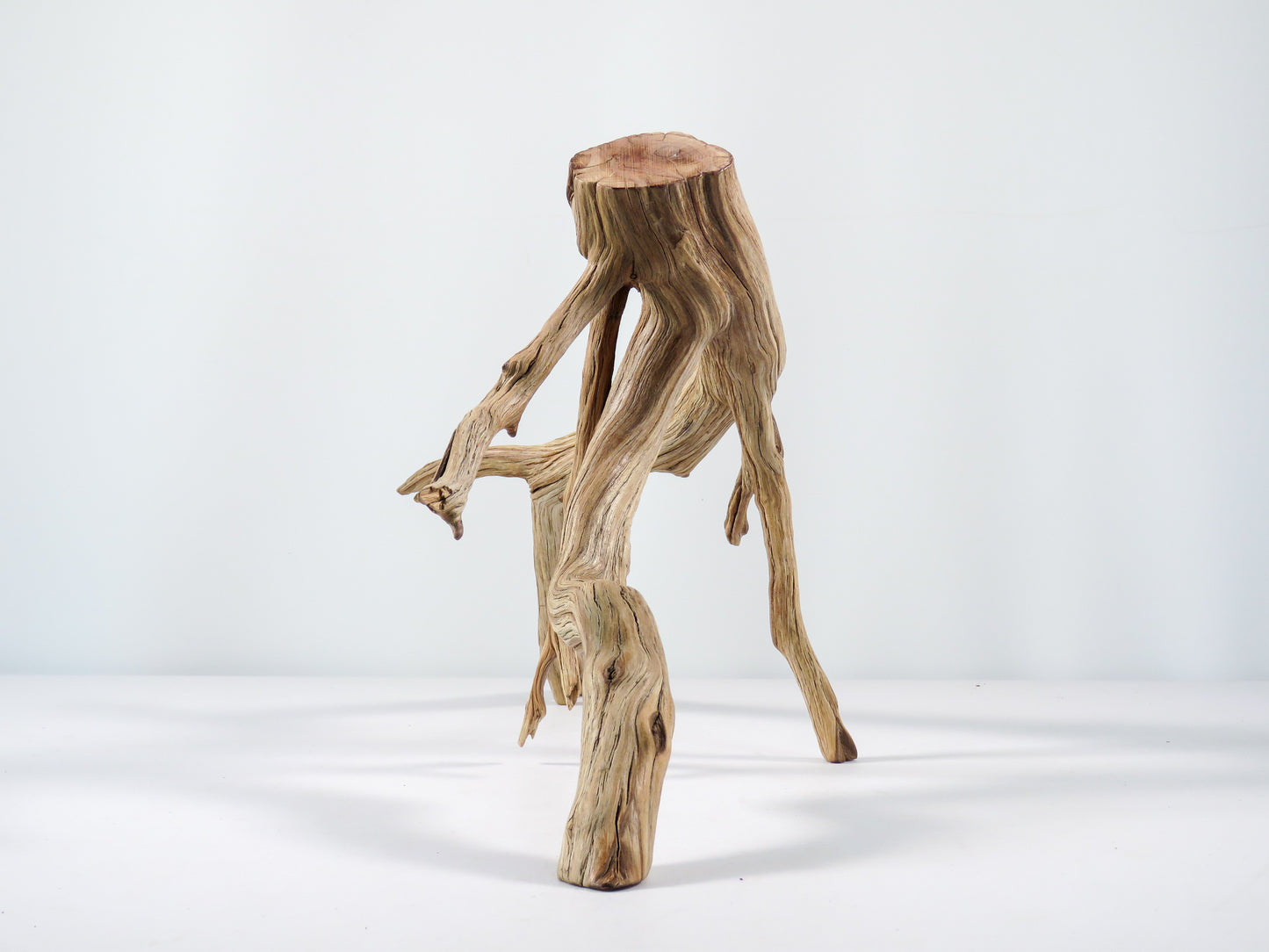 Aquarium Driftwood, (17“), Manzanita Branch ready for Aquascaping your fish tank decor or Terrarium Decor