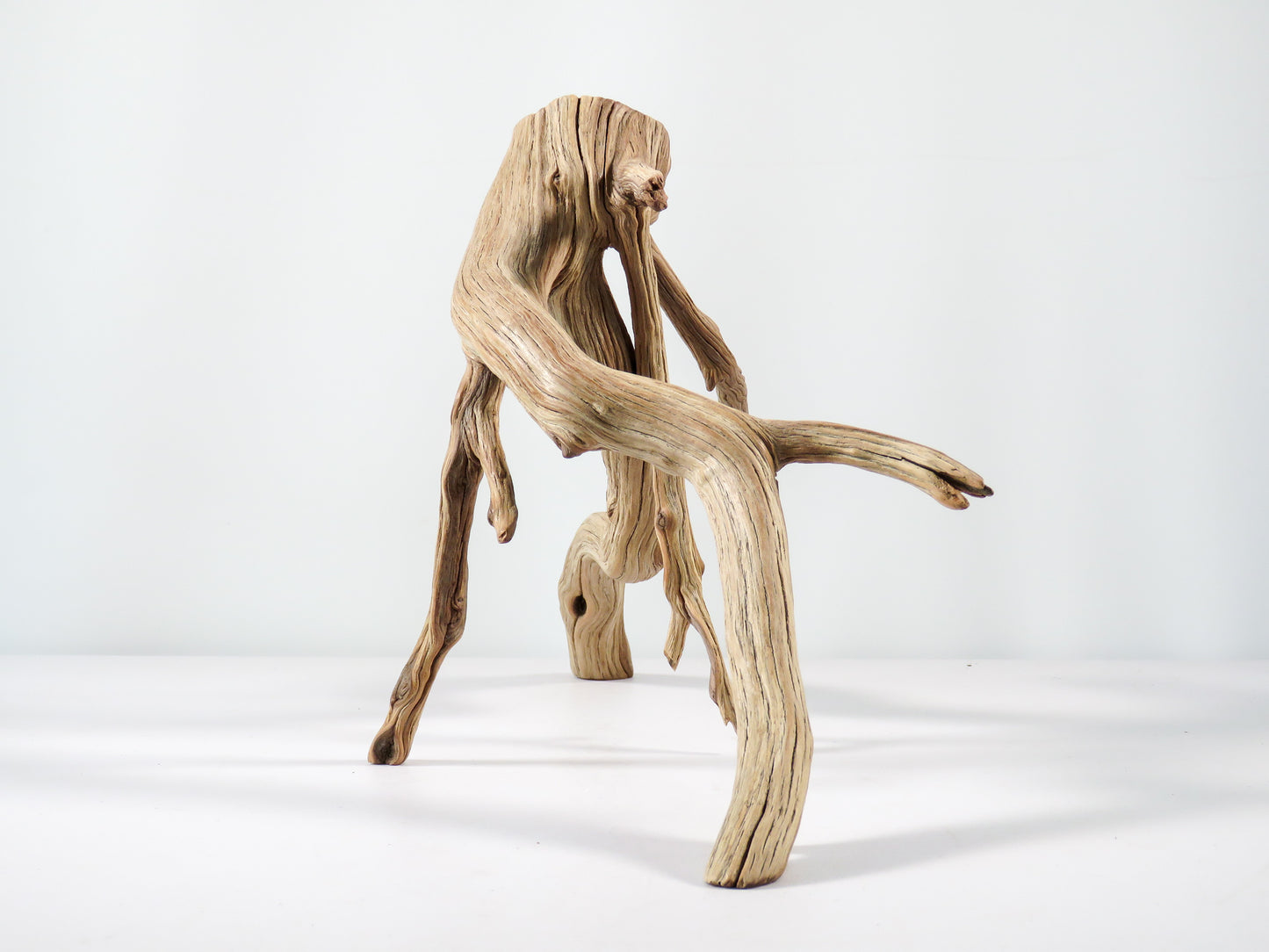 Aquarium Driftwood, (17“), Manzanita Branch ready for Aquascaping your fish tank decor or Terrarium Decor