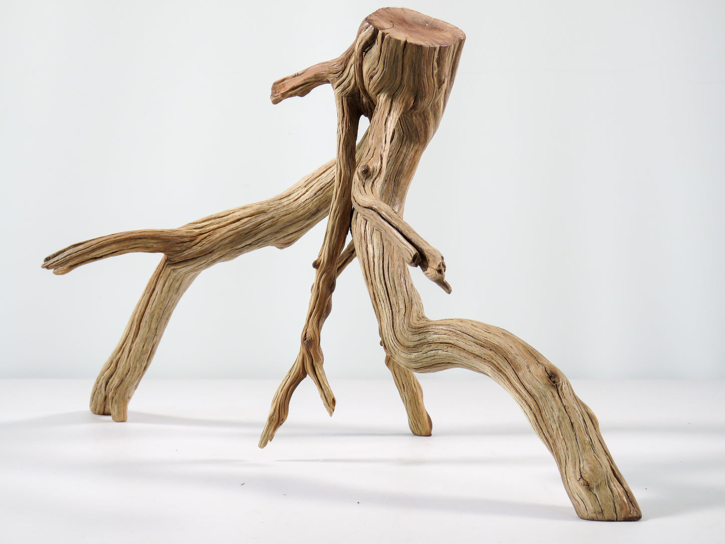 Aquarium Driftwood, (17“), Manzanita Branch ready for Aquascaping your fish tank decor or Terrarium Decor