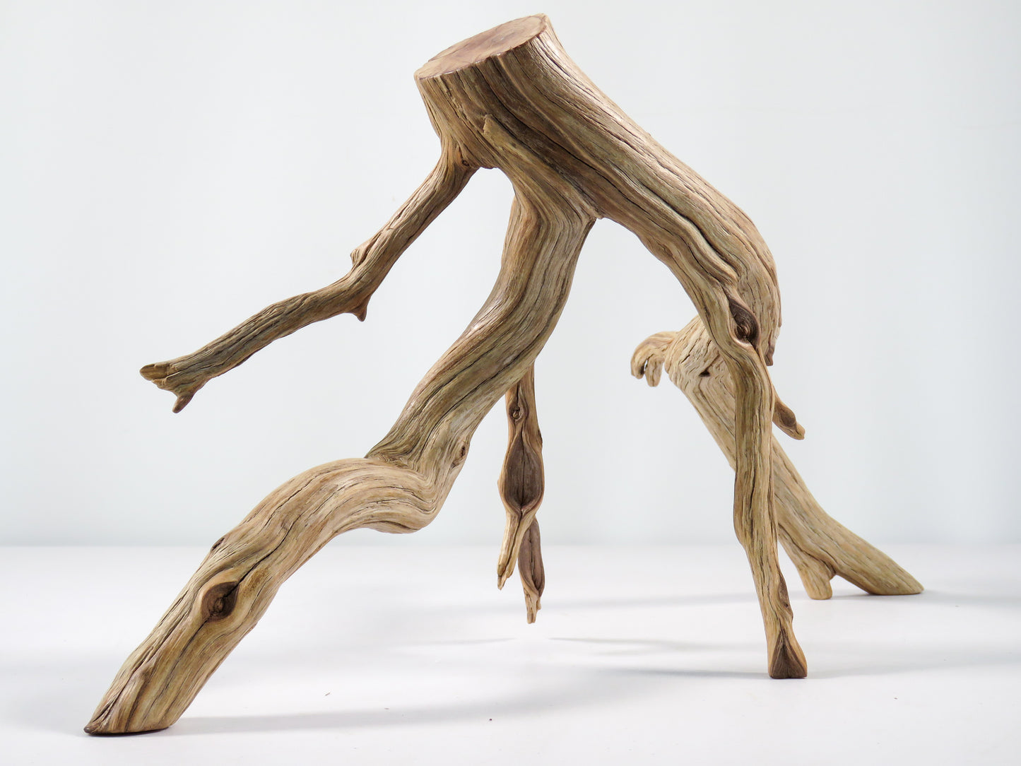 Aquarium Driftwood, (17“), Manzanita Branch ready for Aquascaping your fish tank decor or Terrarium Decor