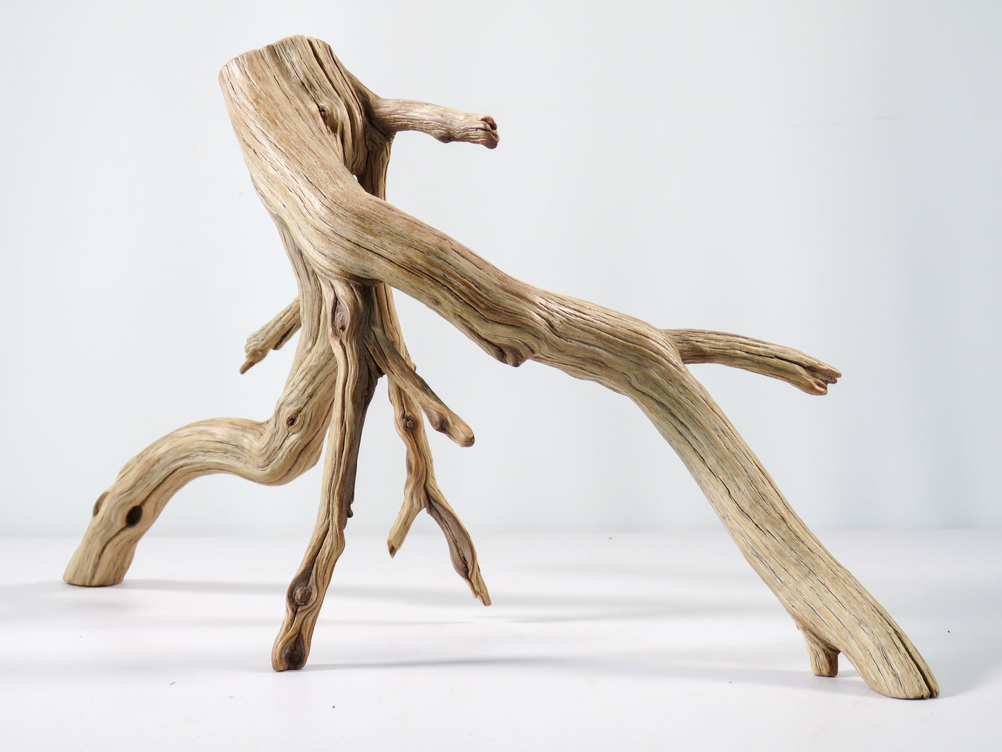 Aquarium Driftwood, (17“), Manzanita Branch ready for Aquascaping your fish tank decor or Terrarium Decor