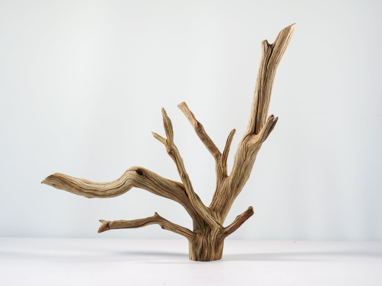 Aquarium Driftwood, (17“), Manzanita Branch ready for Aquascaping your fish tank decor or Terrarium Decor