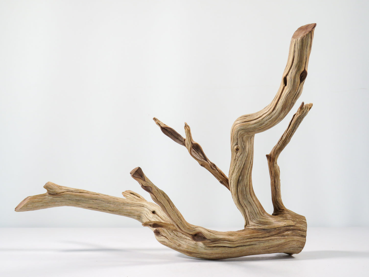 Aquarium Driftwood, (17“), Manzanita Branch ready for Aquascaping your fish tank decor or Terrarium Decor