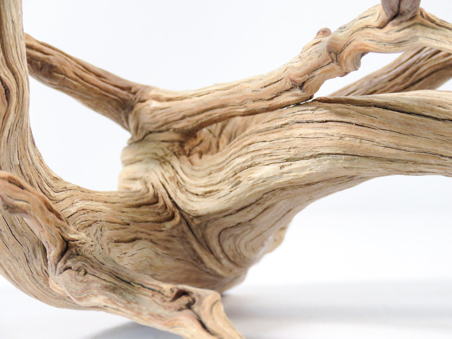 Aquarium Driftwood, (17“), Manzanita Branch ready for Aquascaping your fish tank decor or Terrarium Decor