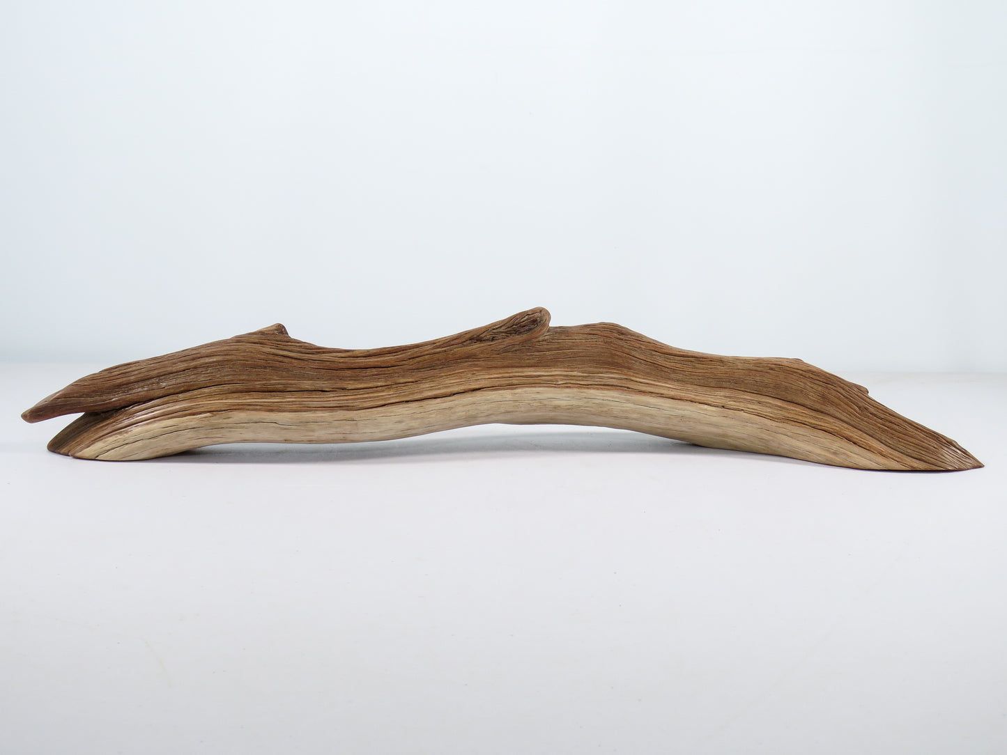 Manzanita Driftwood (21“), Unique, Arched, and perfect for beach house gifts, nautical or aquascape decor
