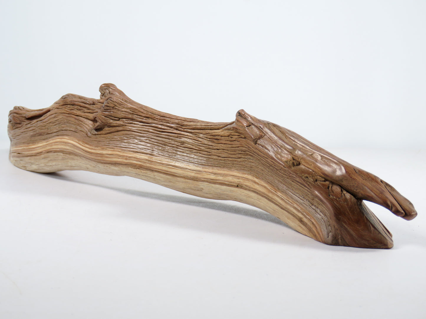 Manzanita Driftwood (21“), Unique, Arched, and perfect for beach house gifts, nautical or aquascape decor