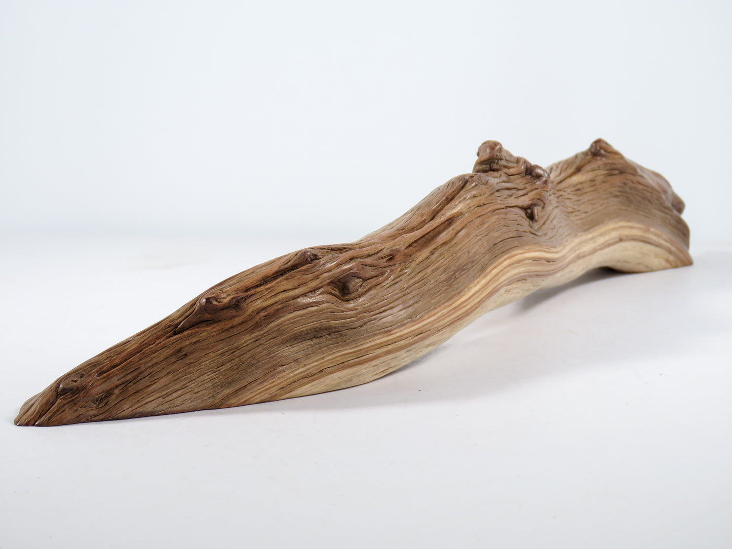 Manzanita Driftwood (21“), Unique, Arched, and perfect for beach house gifts, nautical or aquascape decor