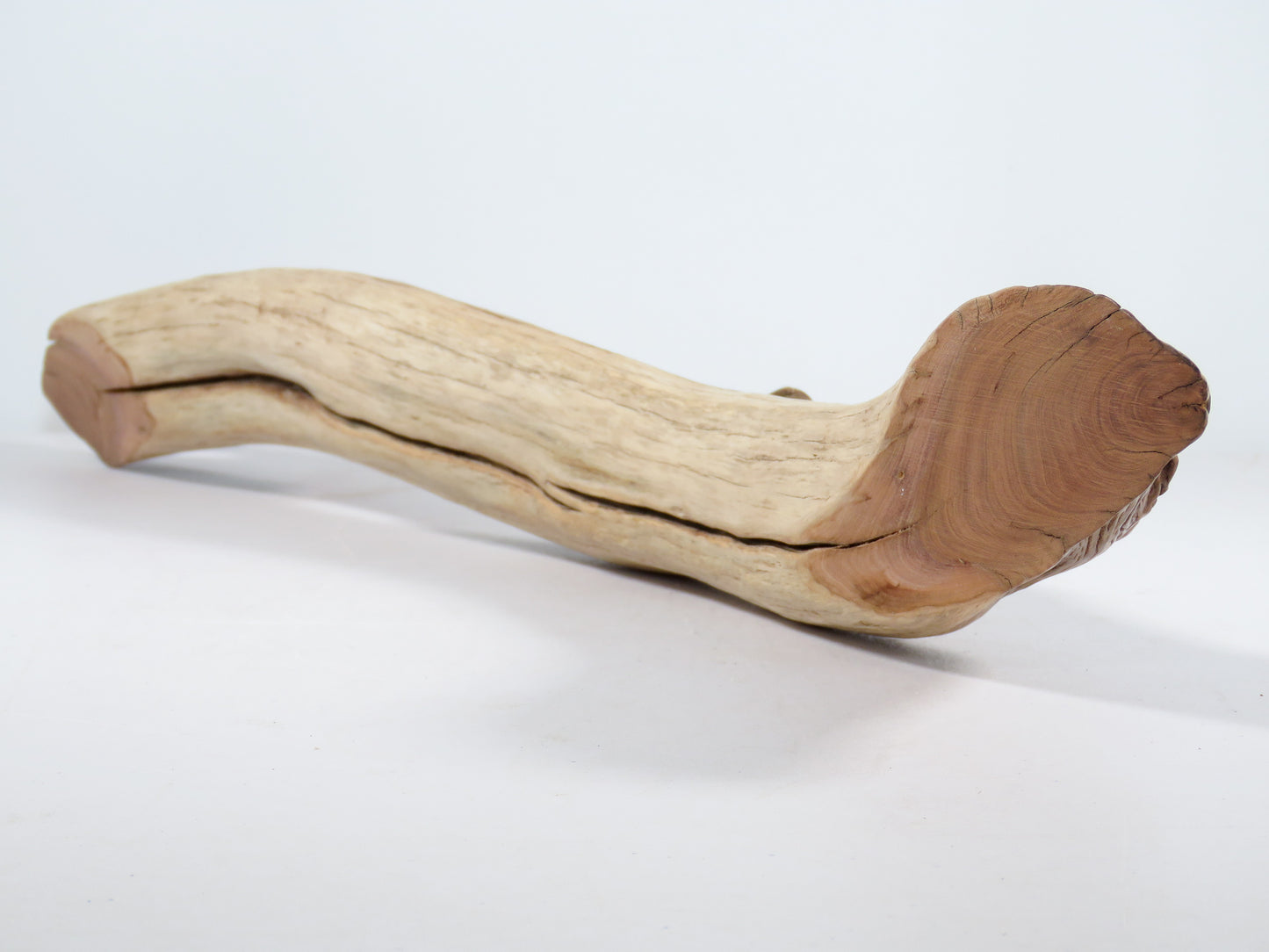 Manzanita Driftwood (21“), Unique, Arched, and perfect for beach house gifts, nautical or aquascape decor
