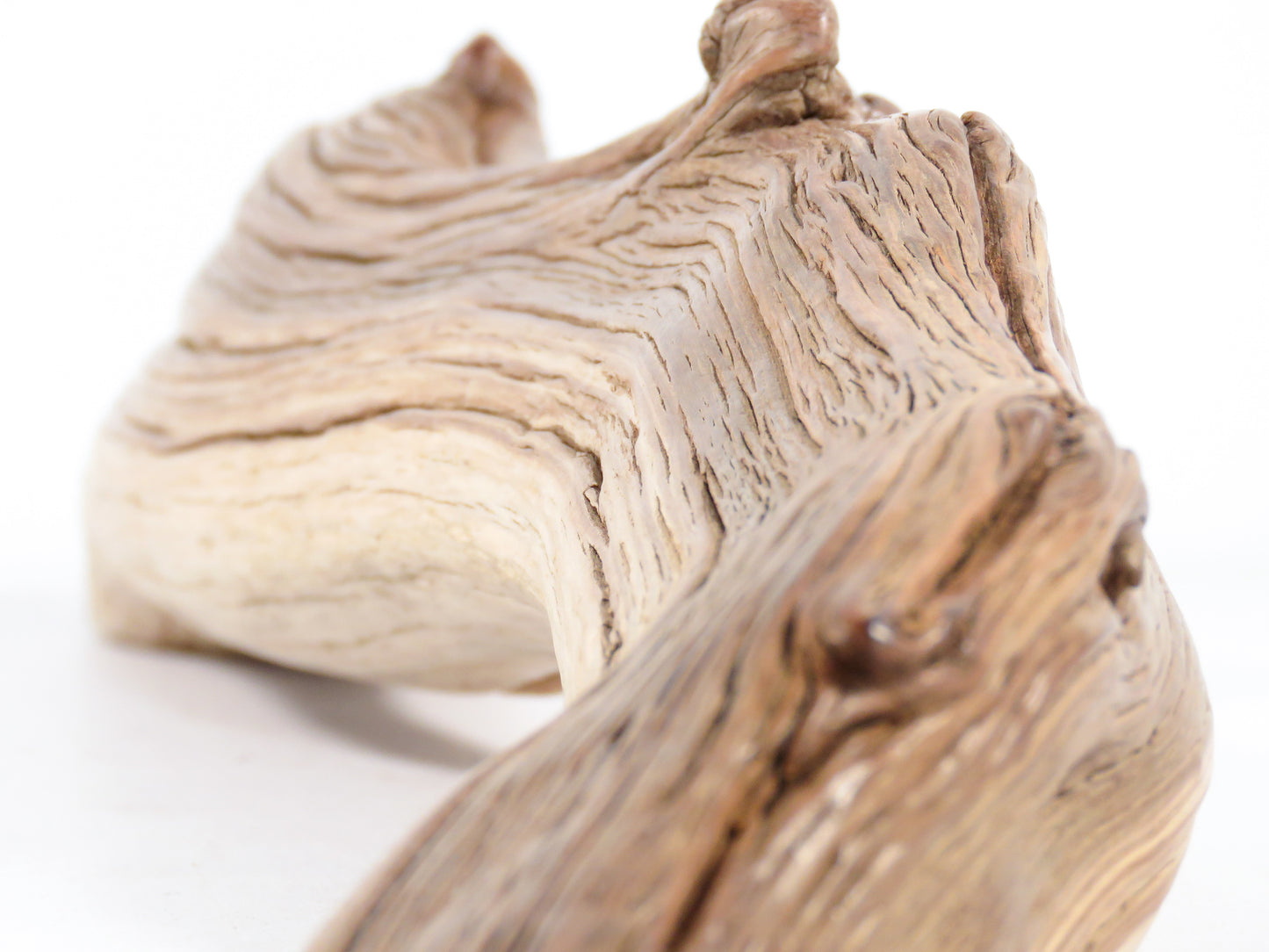 Manzanita Driftwood (21“), Unique, Arched, and perfect for beach house gifts, nautical or aquascape decor