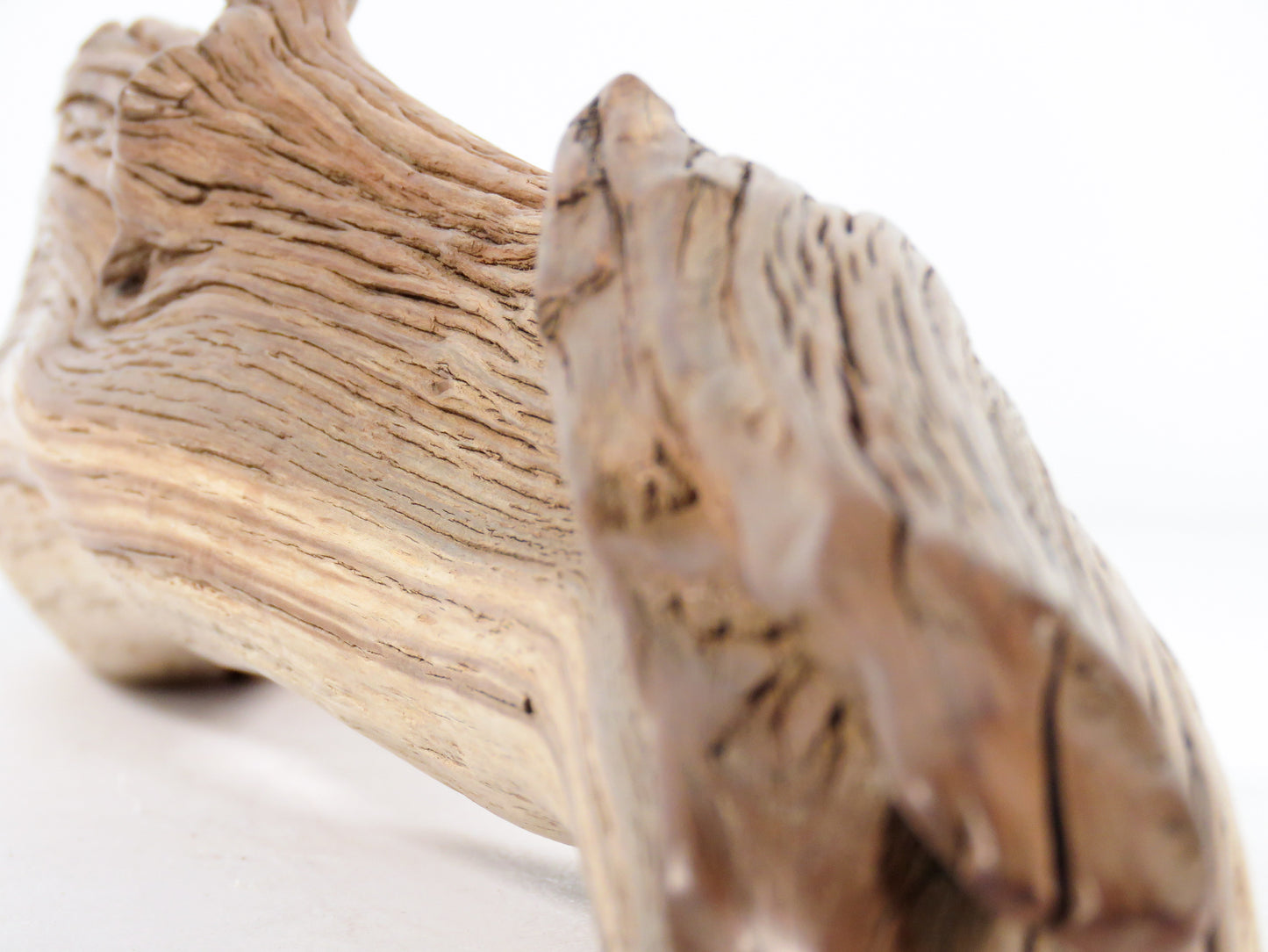 Manzanita Driftwood (21“), Unique, Arched, and perfect for beach house gifts, nautical or aquascape decor