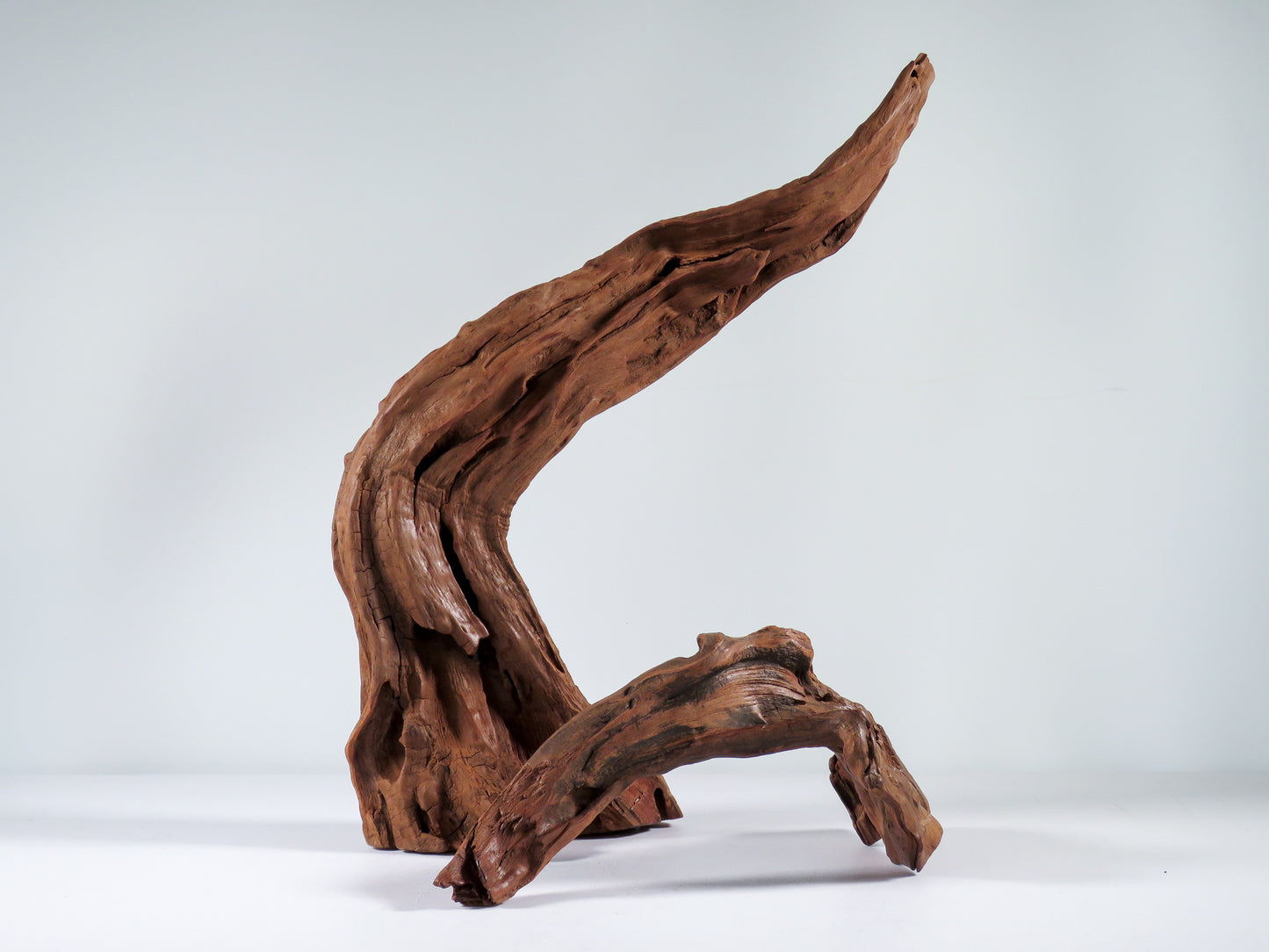 Manzanita Root (2 pc set), Great driftwood for Aquascaping your Tank or Terrarium Decor