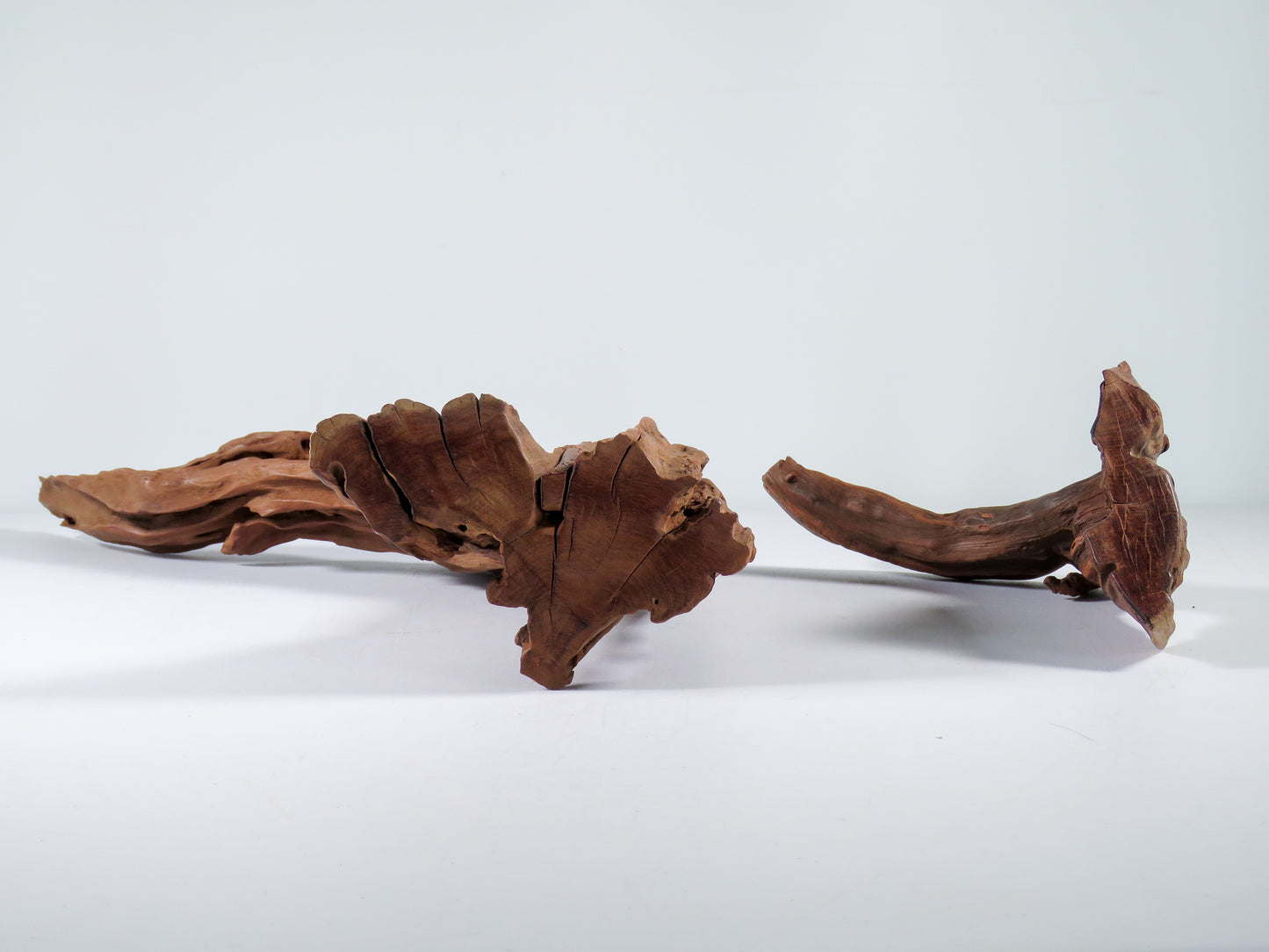 Manzanita Root (2 pc set), Great driftwood for Aquascaping your Tank or Terrarium Decor
