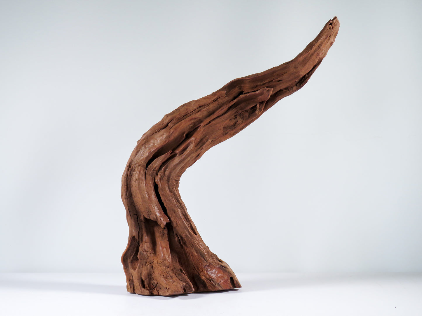 Manzanita Root (2 pc set), Great driftwood for Aquascaping your Tank or Terrarium Decor