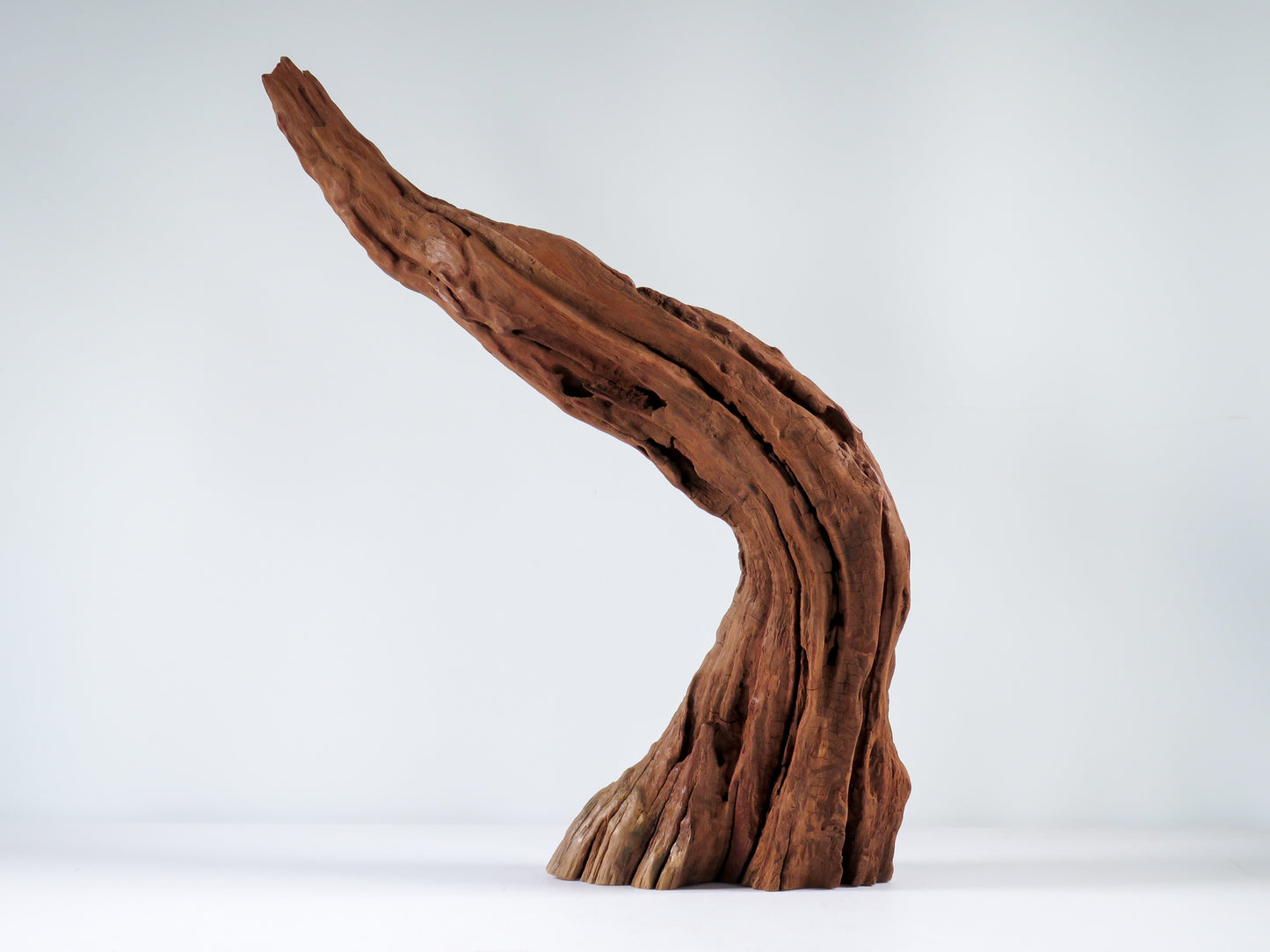 Manzanita Root (2 pc set), Great driftwood for Aquascaping your Tank or Terrarium Decor