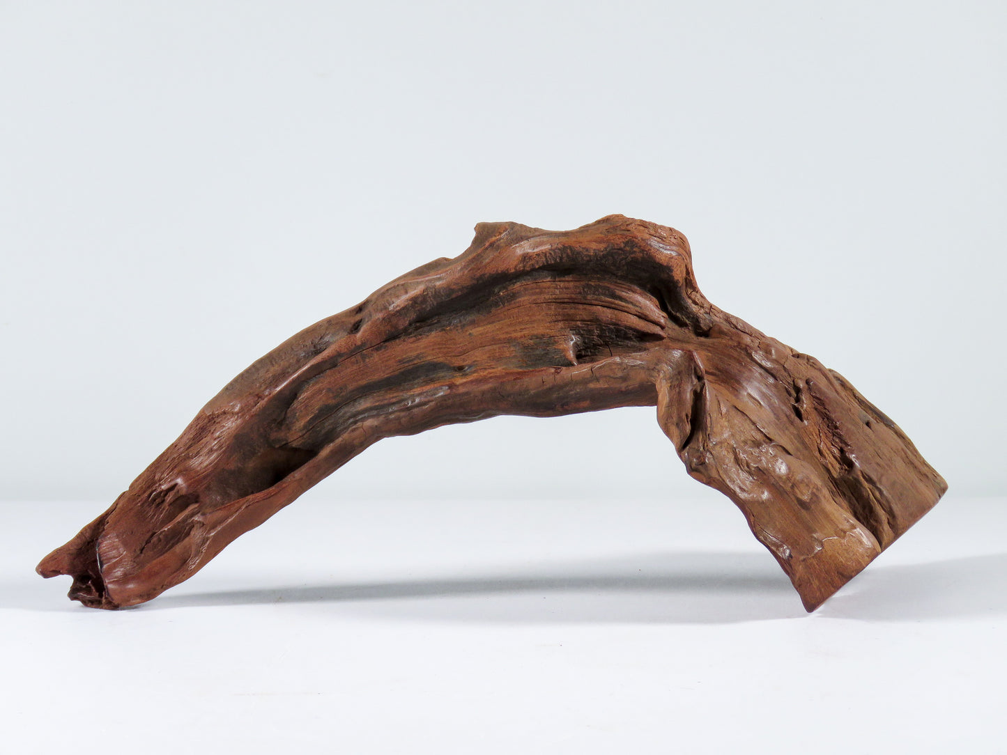 Manzanita Root (2 pc set), Great driftwood for Aquascaping your Tank or Terrarium Decor