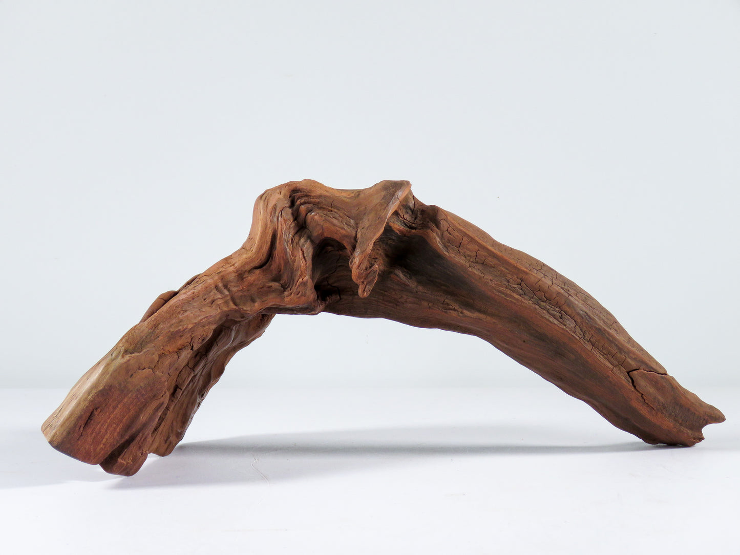 Manzanita Root (2 pc set), Great driftwood for Aquascaping your Tank or Terrarium Decor
