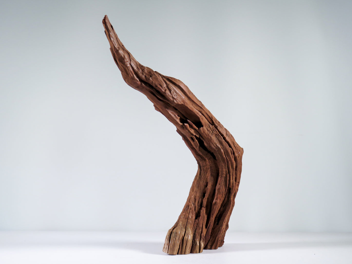 Manzanita Root (2 pc set), Great driftwood for Aquascaping your Tank or Terrarium Decor