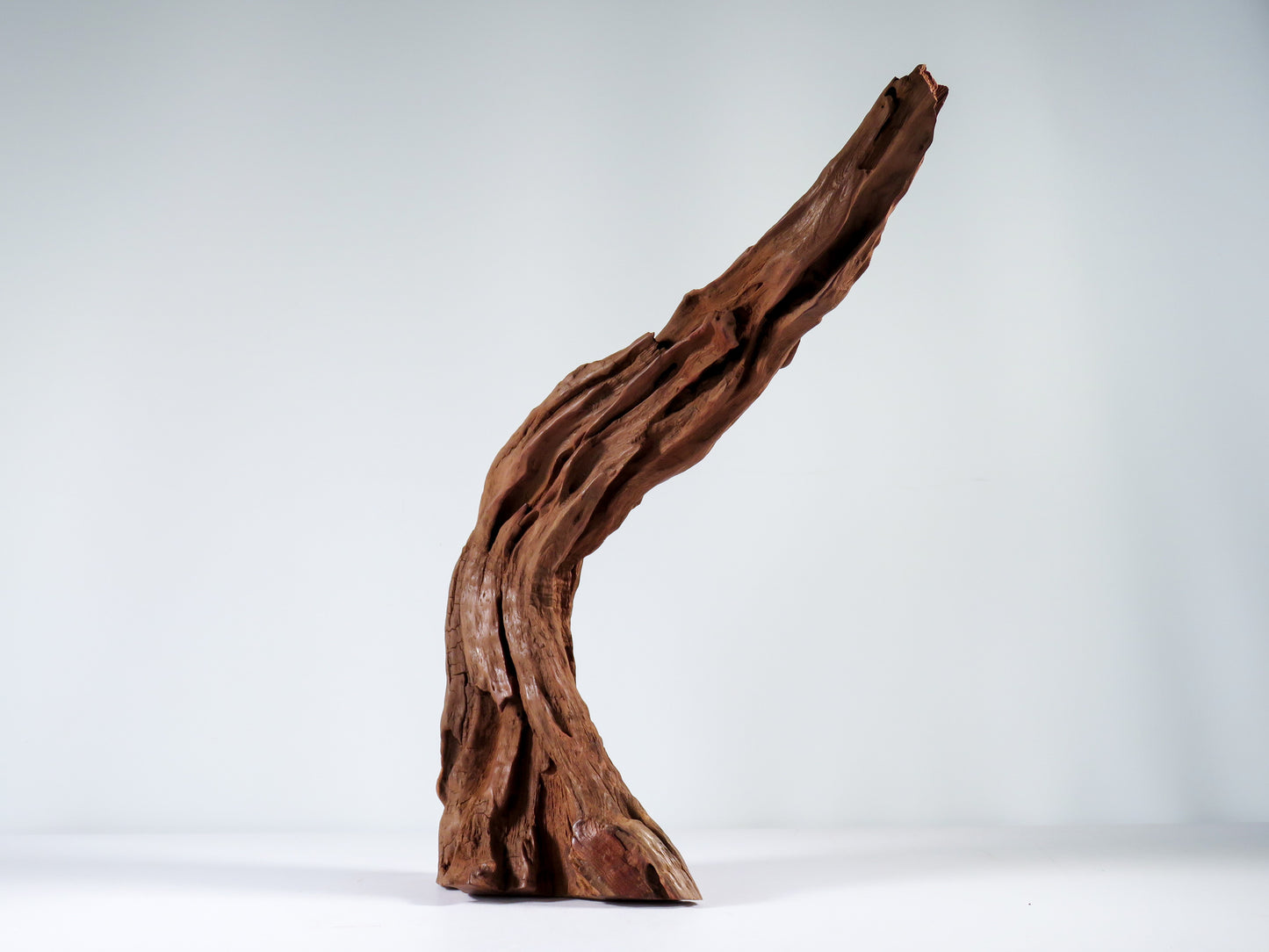 Manzanita Root (2 pc set), Great driftwood for Aquascaping your Tank or Terrarium Decor