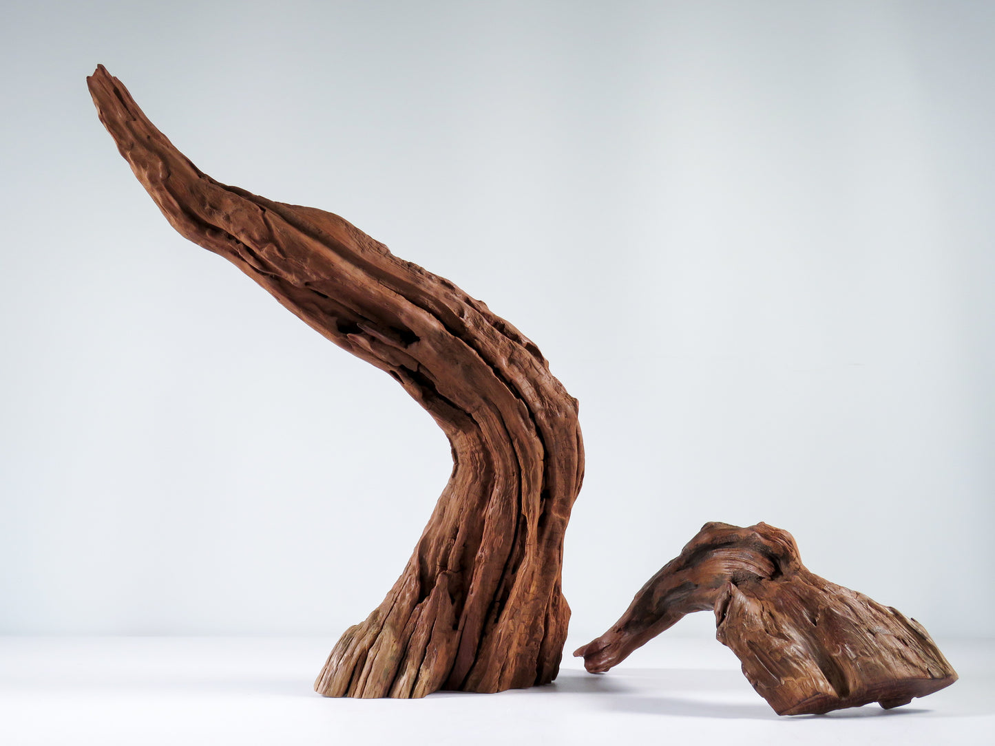 Manzanita Root (2 pc set), Great driftwood for Aquascaping your Tank or Terrarium Decor