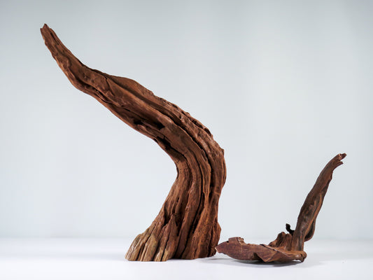 Manzanita Root (2 pc set) | The Ideal Conditions