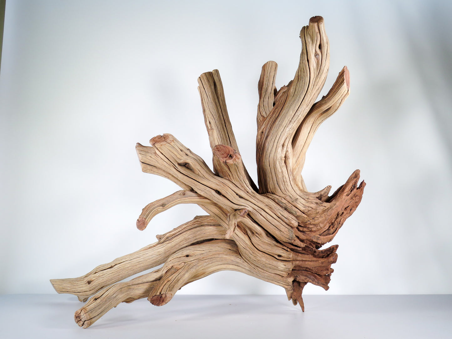 Caleb Big Stump