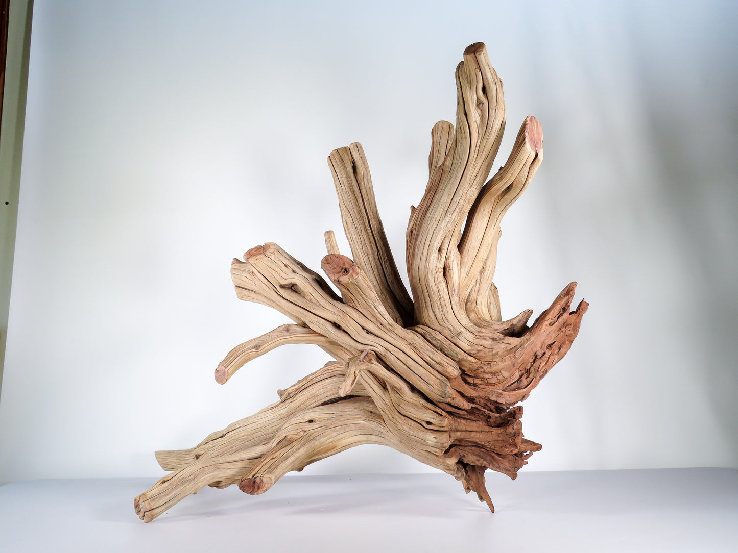 Caleb Big Stump
