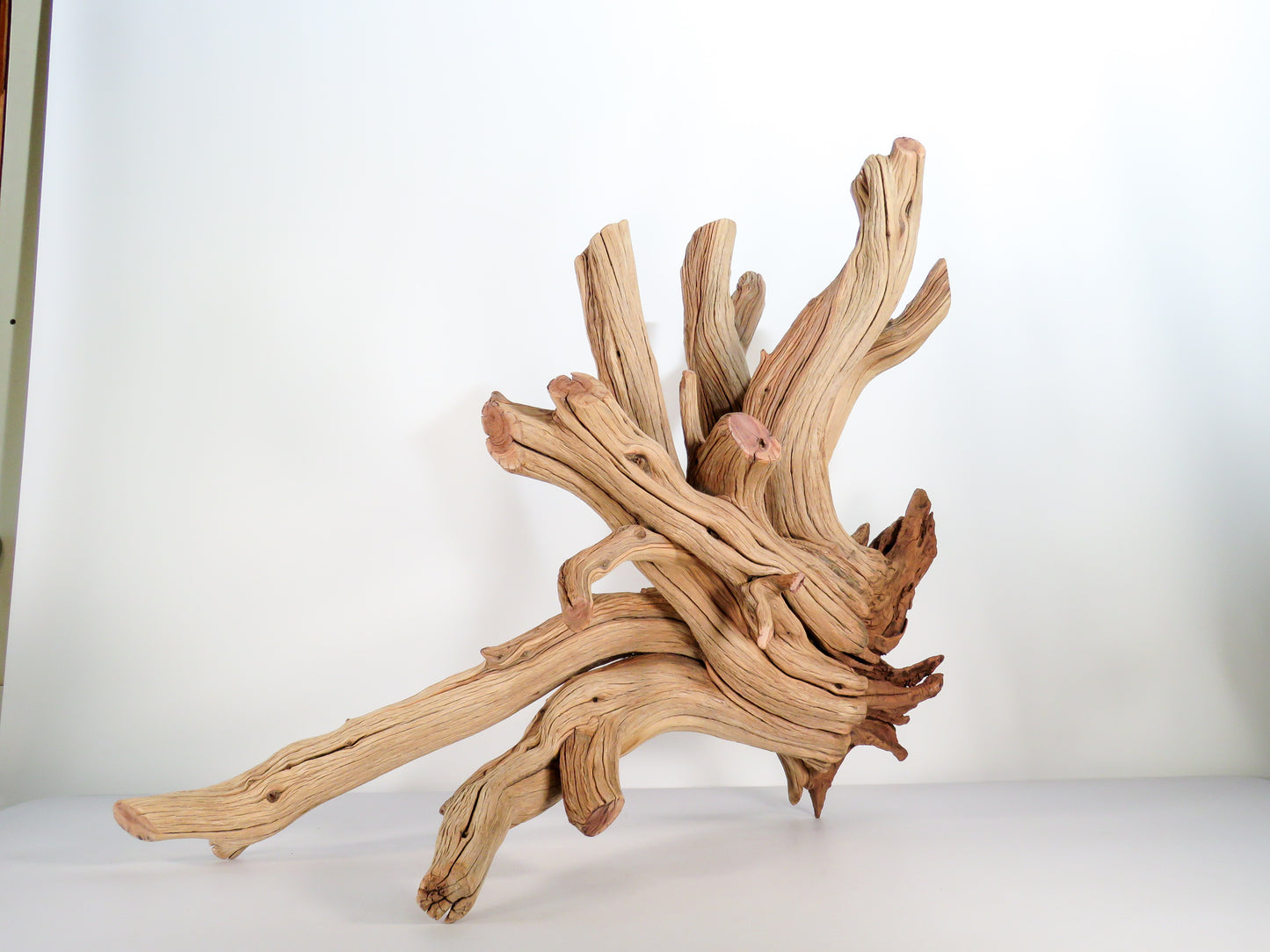 Caleb Big Stump