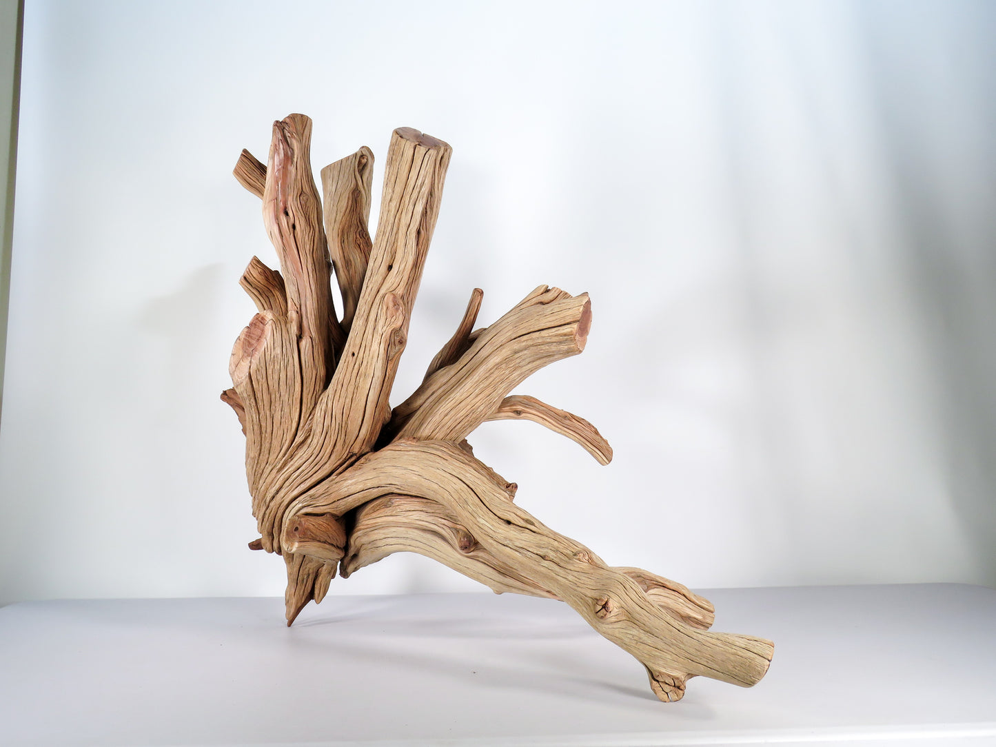 Caleb Big Stump