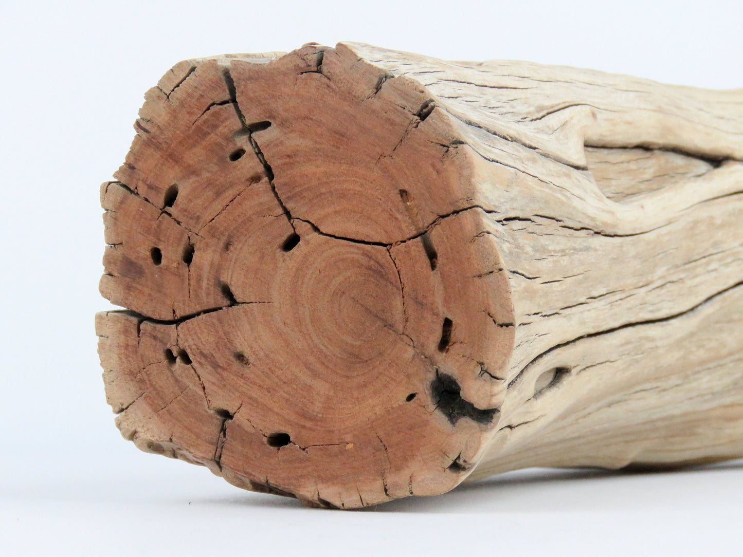 Manzanita Driftwood Log, Vivarium Decor, Aquarium Decor, Manzanita Branches, Driftwood Sculpture, Driftwood Decor, Fish Tank Decor